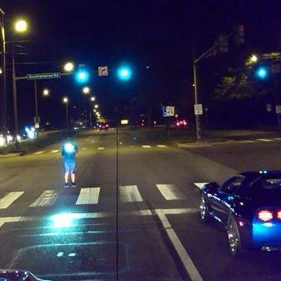 Meet your Posher, Steve - Picture 1 of 1